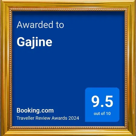 Gajine Apartment Dugi Rat Room photo