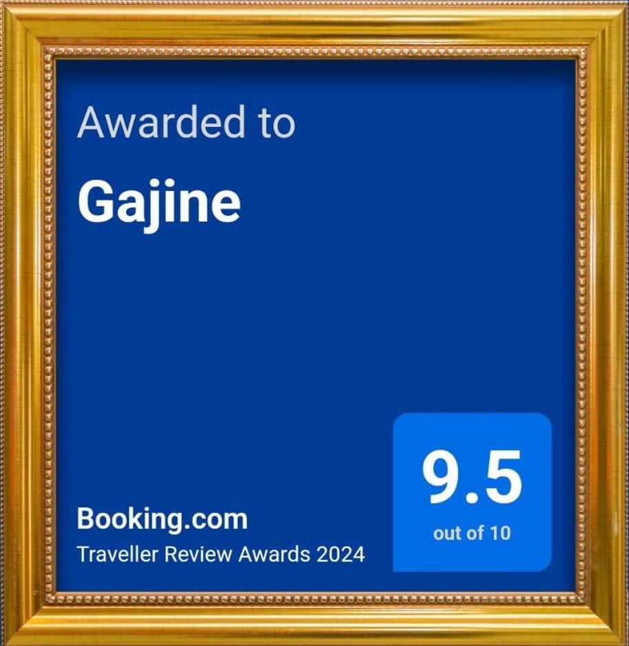Apartment Gajine